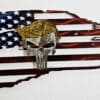 Trump Punisher Flag